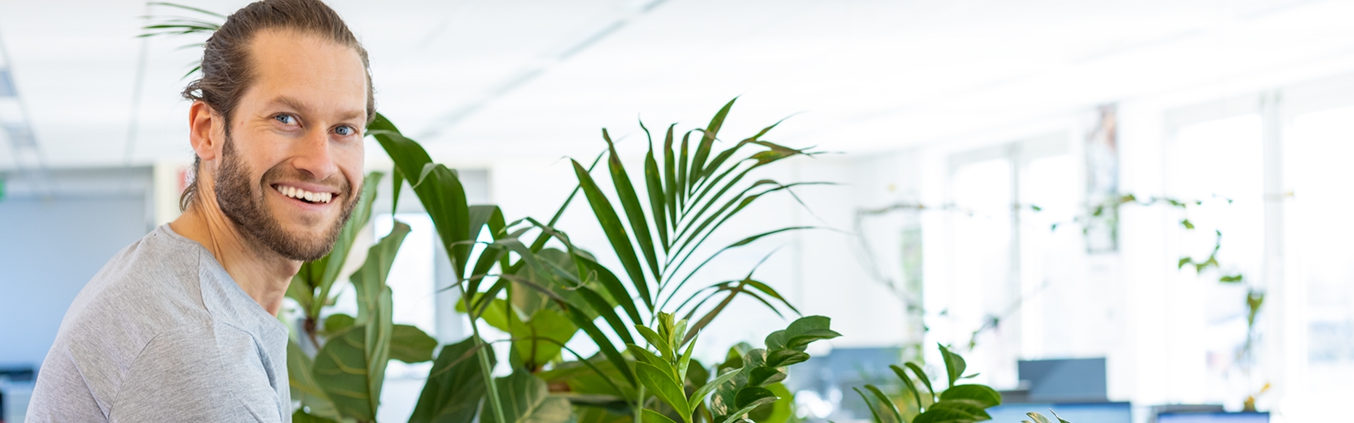 0w0a3535-banner-2